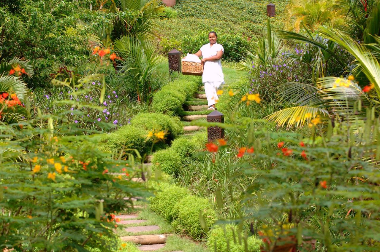 Lakaz Chamarel Exclusive Lodge Exterior foto